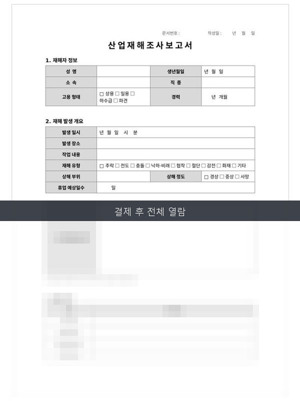 산업재해 조사보고서 미리보기