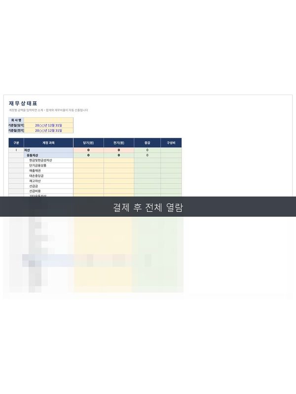 재무상태표 미리보기