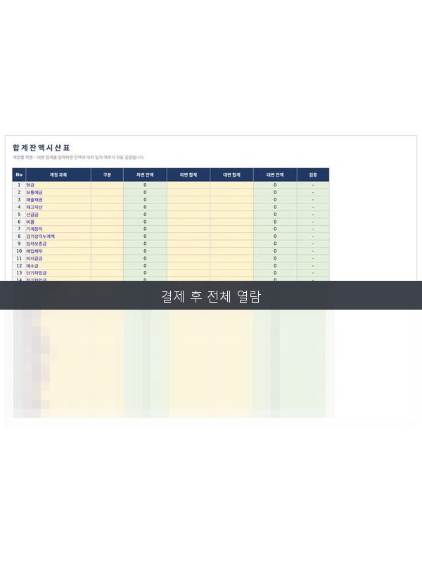 합계잔액시산표 미리보기