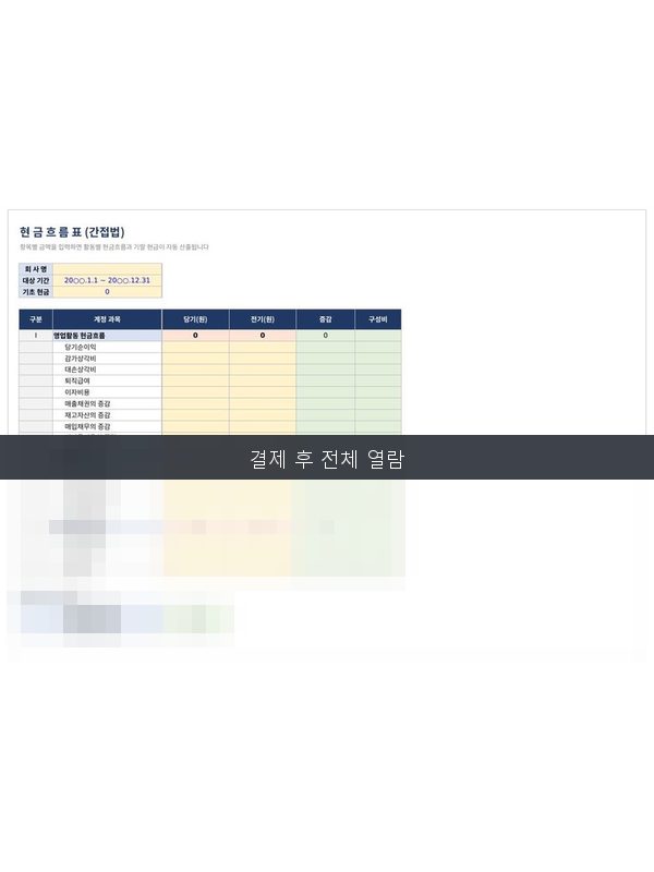 현금흐름표 미리보기