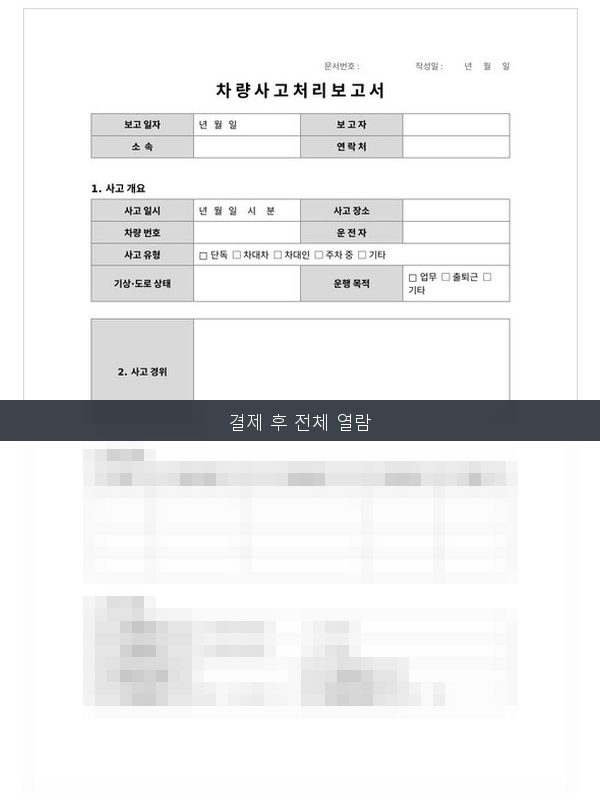 차량 사고 처리 보고서 미리보기