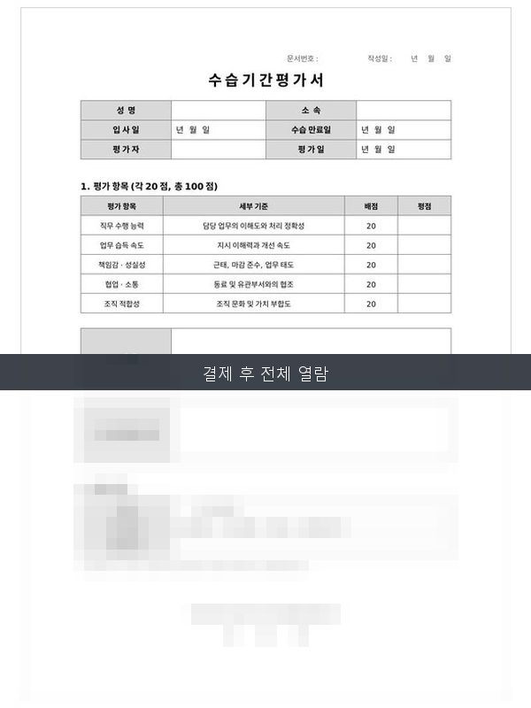 수습기간 평가서 미리보기