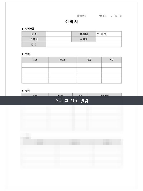 이력서(영문) 미리보기