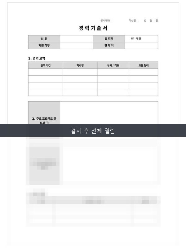 경력기술서 미리보기