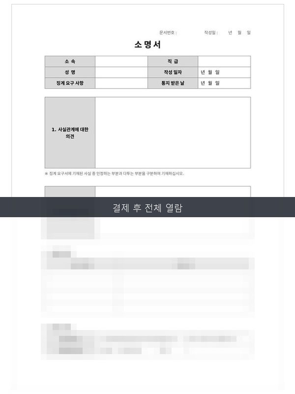 소명서 미리보기