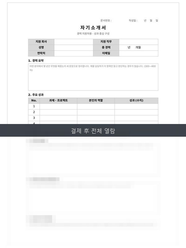 자기소개서 경력 미리보기