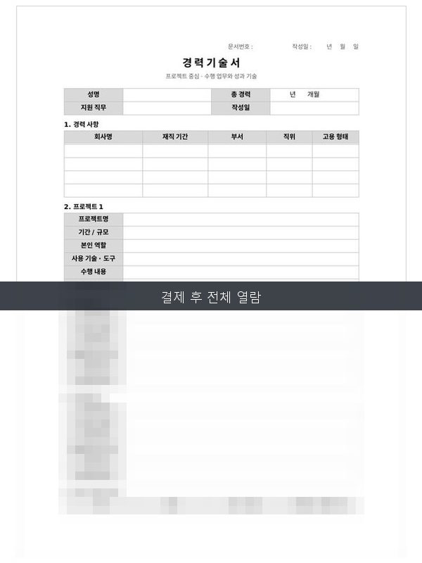 경력기술서 프로젝트중심 미리보기