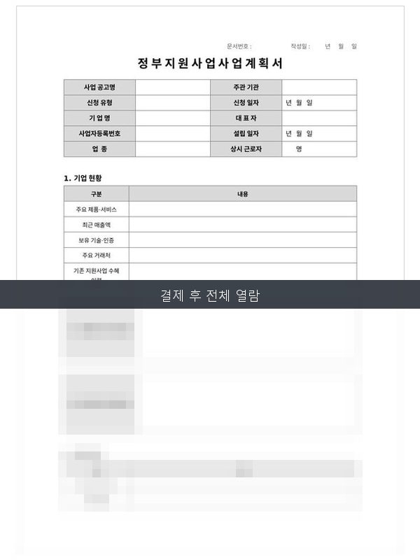 정부지원사업 사업계획서 미리보기