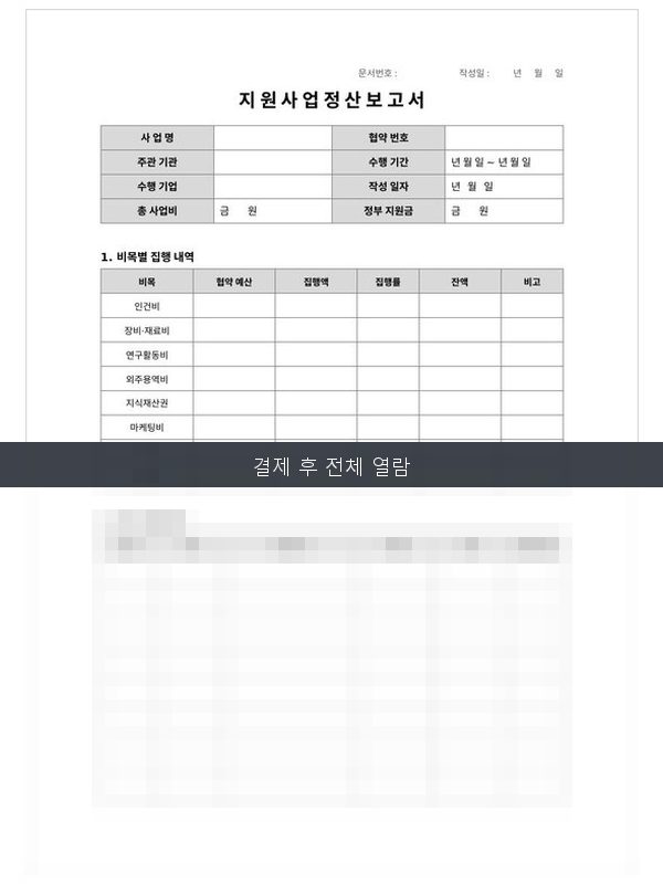 사업비 정산 보고서 미리보기
