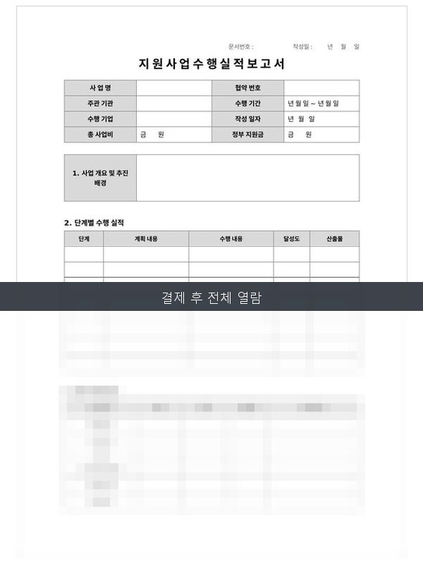 지원사업 수행 실적 보고서 미리보기