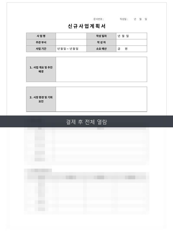신규 사업계획서 미리보기