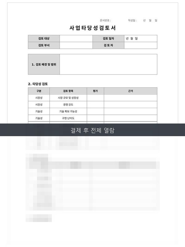 사업 타당성 검토서 미리보기