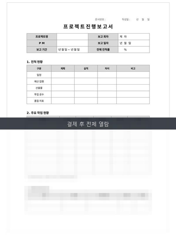 프로젝트 진행 보고서 미리보기