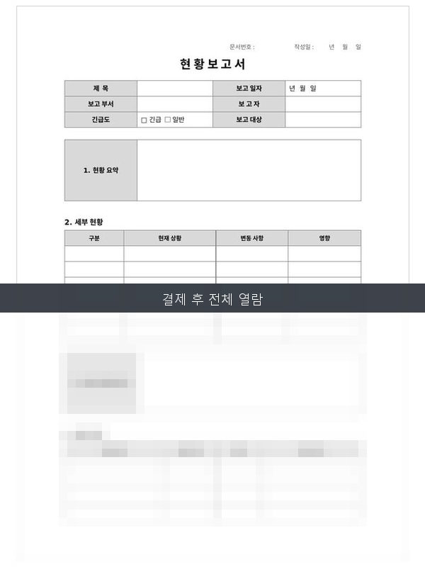 현황 보고서 미리보기