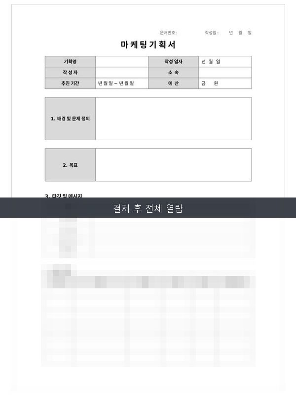 마케팅 기획서 미리보기