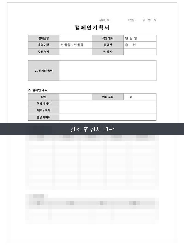 캠페인 기획서 미리보기
