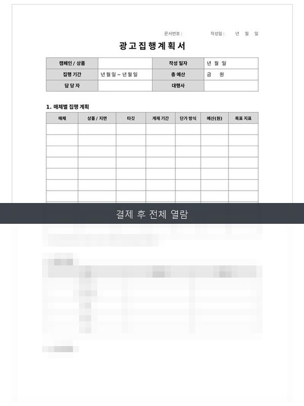 광고 집행 계획서 미리보기