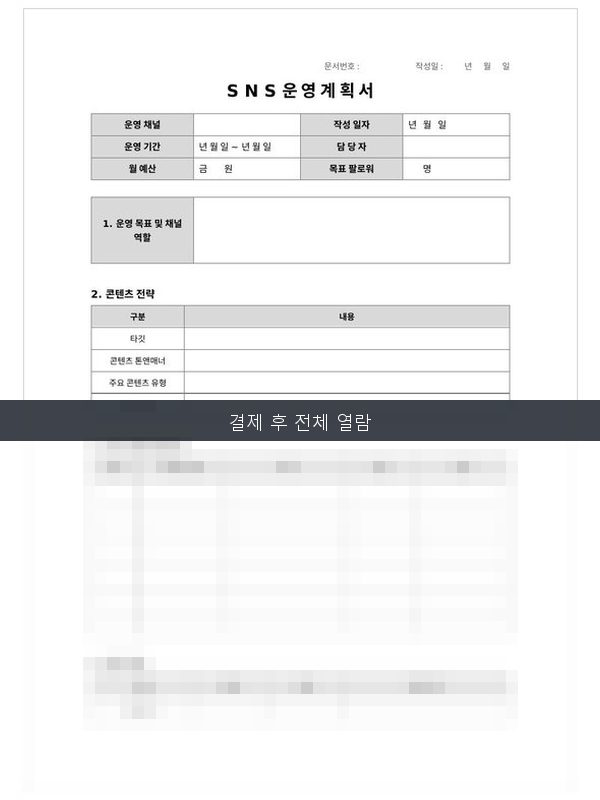 SNS 운영 계획서 미리보기