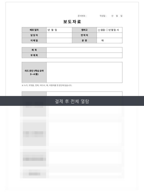 보도자료 미리보기