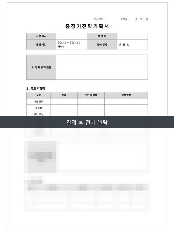 중장기 전략 기획서 미리보기