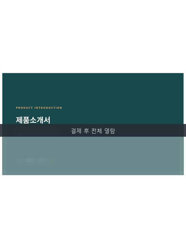제품소개서 템플릿 미리보기