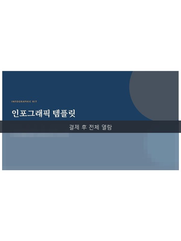 인포그래픽 템플릿 미리보기