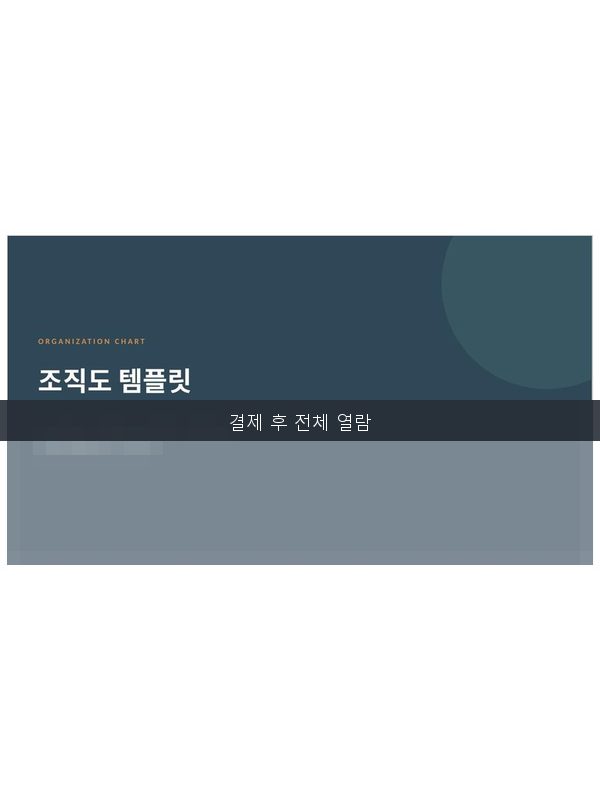 조직도 템플릿 미리보기