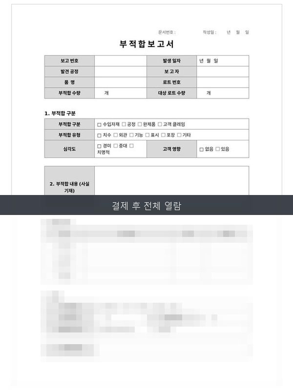 부적합 보고서 미리보기