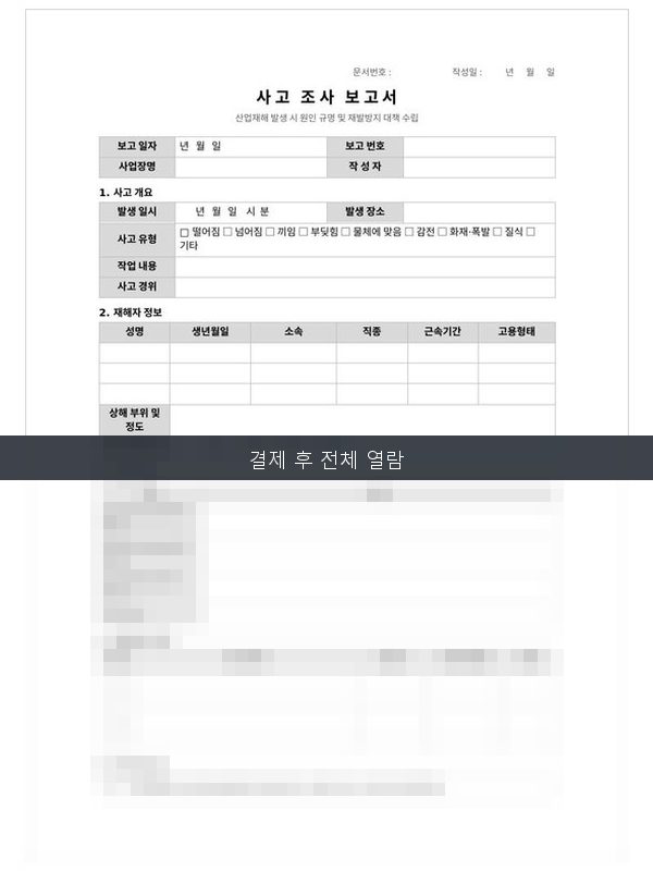 사고 조사 보고서 미리보기