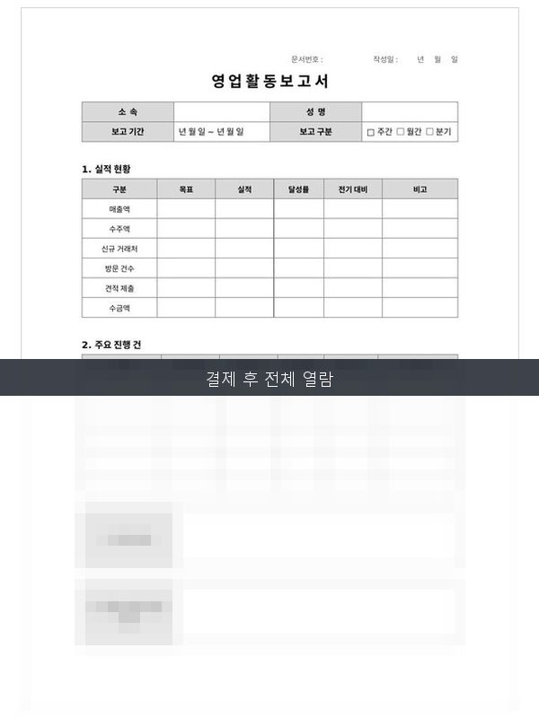 영업활동 보고서 미리보기