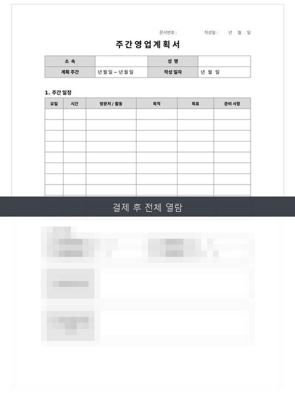 주간 영업계획서 미리보기