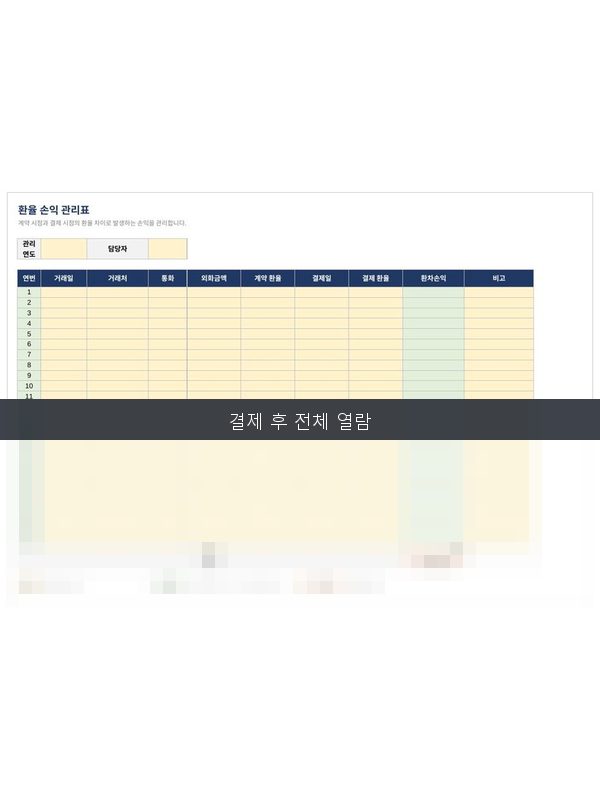 환율 손익 관리표 미리보기