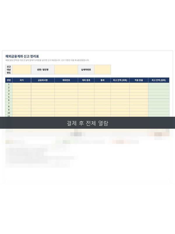 해외금융계좌 신고 정리표 미리보기