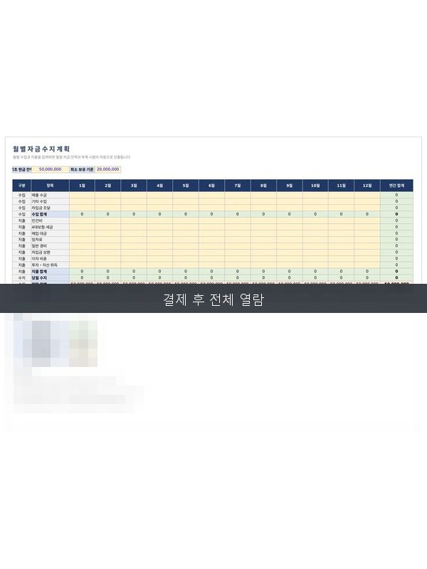 자금수지 계획 프로그램 미리보기