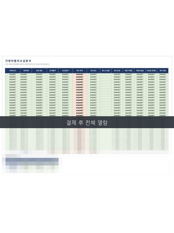 거래처별 미수금 관리 프로그램 미리보기
