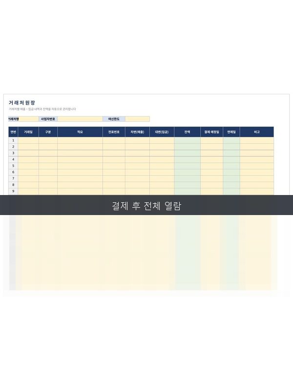 거래처 원장 미리보기