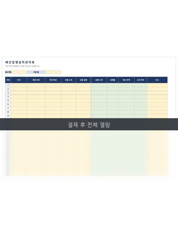 예산 집행실적표 미리보기