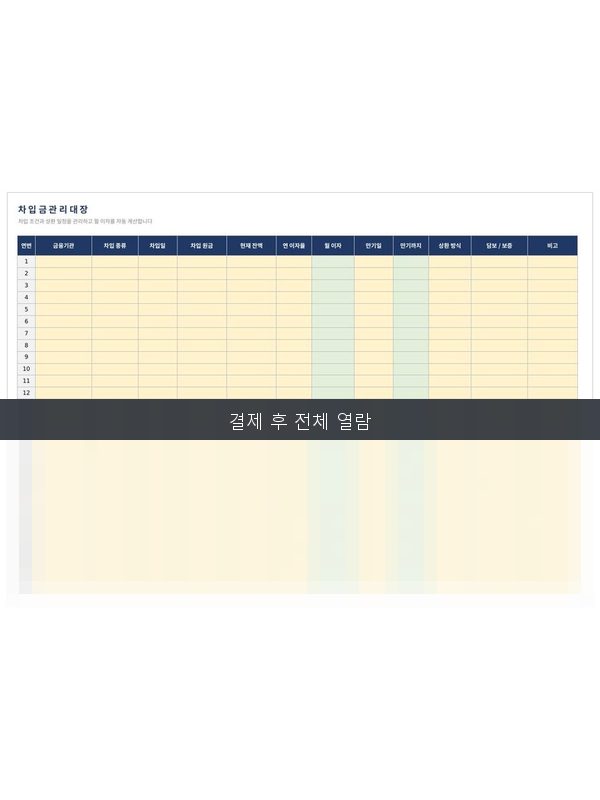 차입금 관리대장 미리보기