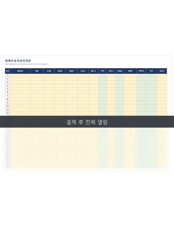 캠페인 성과 관리대장 미리보기