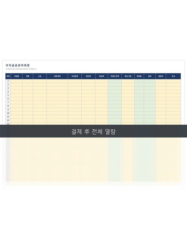 가지급금 관리대장 미리보기
