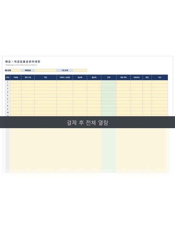 예금 입출금 관리대장 미리보기