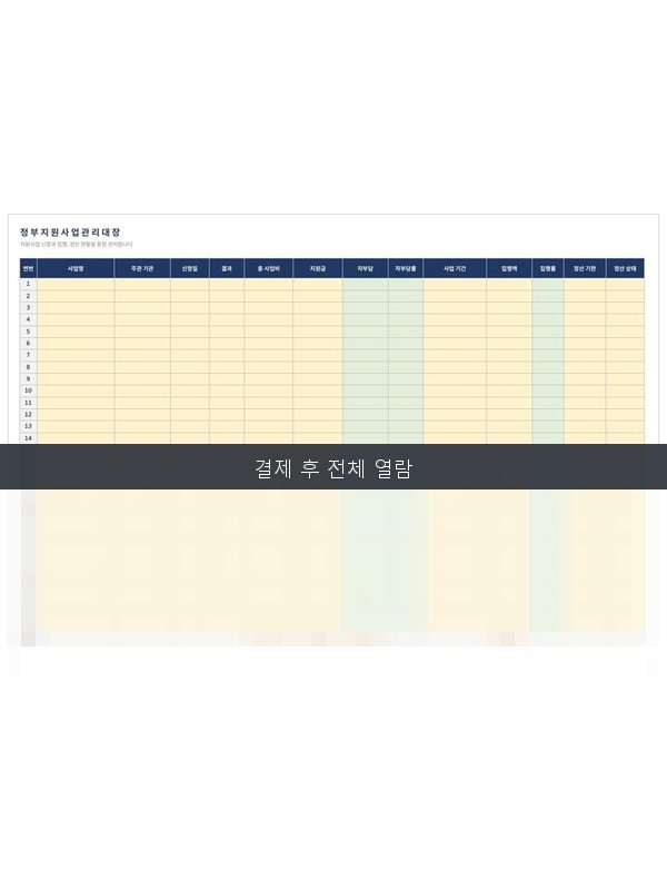 정부지원사업 관리대장 미리보기