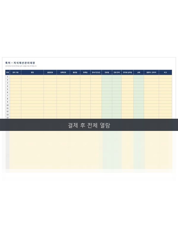 지식재산 관리대장 미리보기