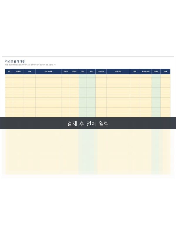 리스크 관리대장 미리보기