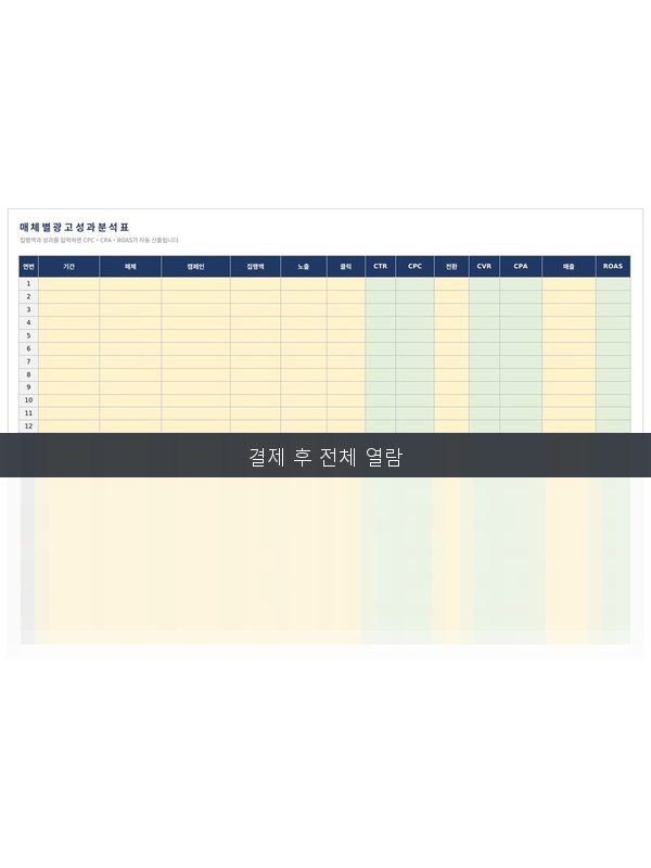 매체별 성과 분석표 미리보기