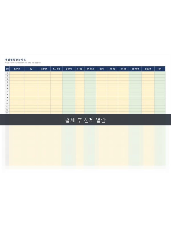 채널별 정산 관리표 미리보기